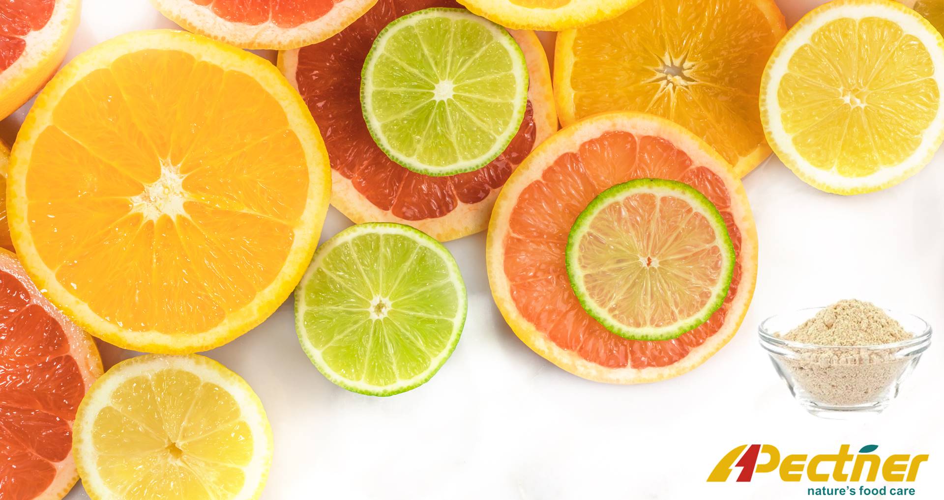 太阳集团电子游戏(中国区)官方网站