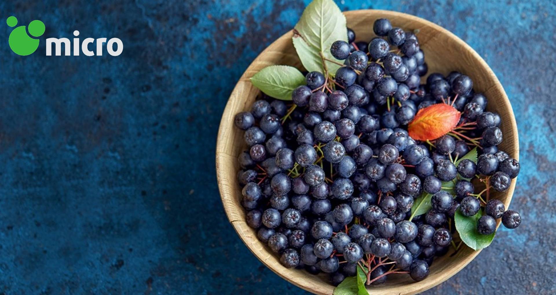 太阳集团电子游戏(中国区)官方网站