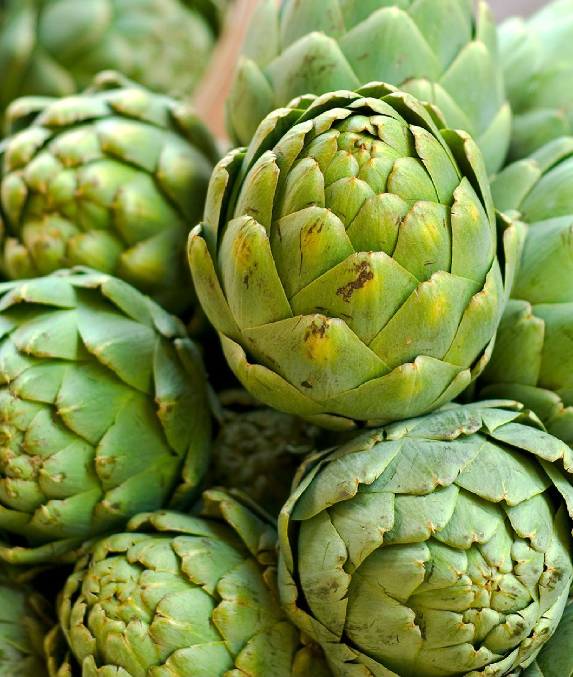 太阳集团电子游戏(中国区)官方网站